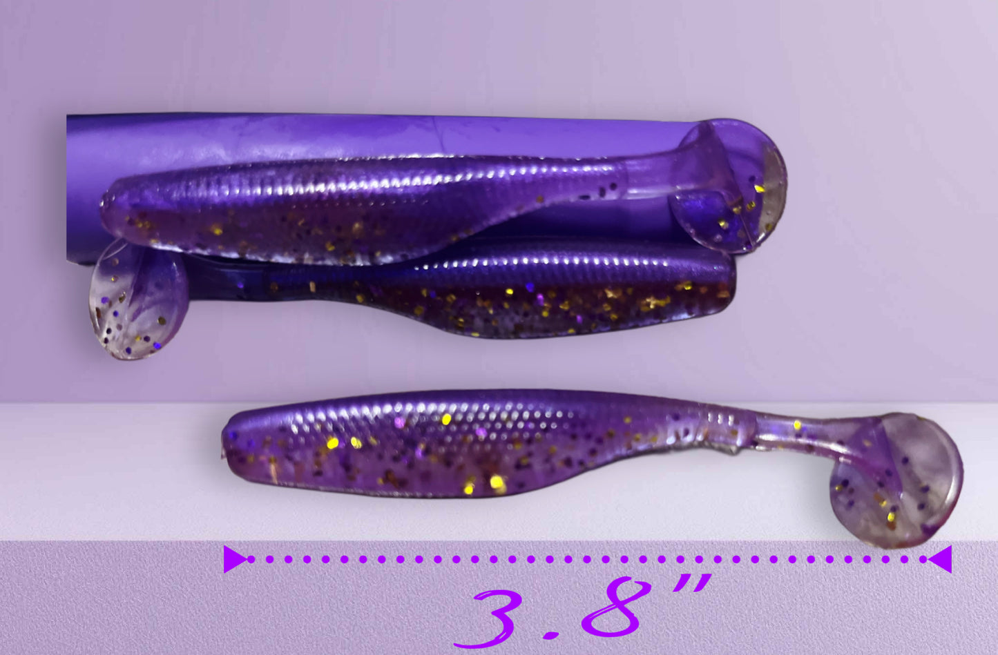 Paddle Tail "Purple Crush"